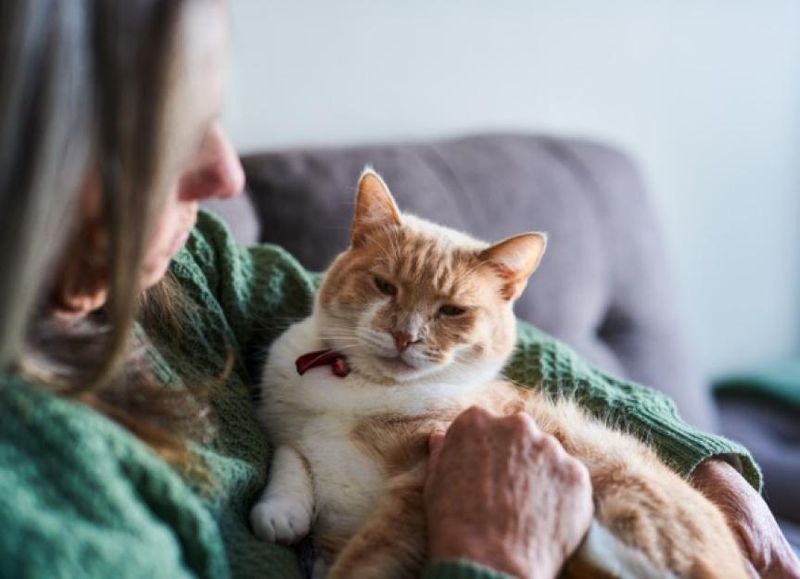 Consider Palliative Care