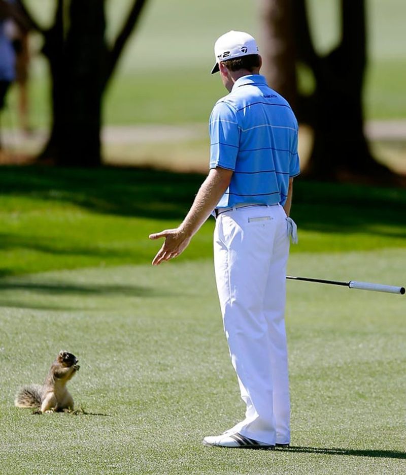 Squirrel Takes the Lead