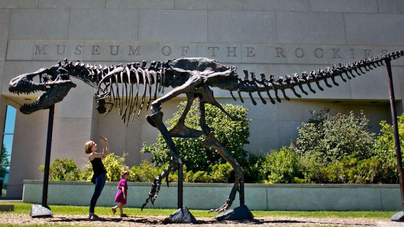 Tyrannosaurus Rex