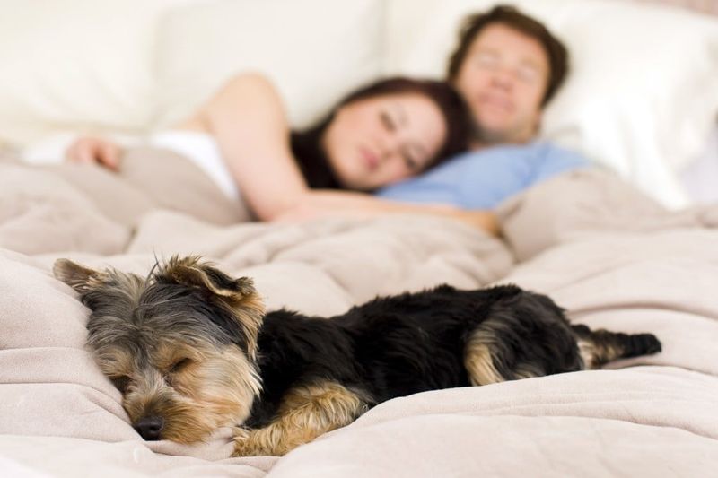Your Sleeping Patterns