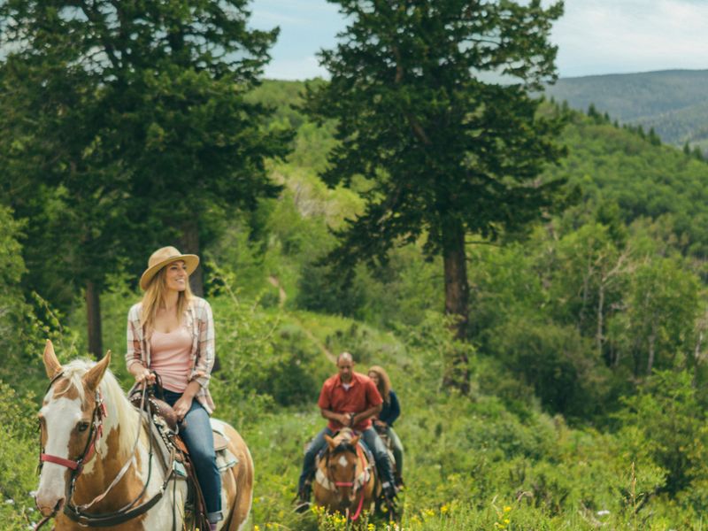 Picnic Rides