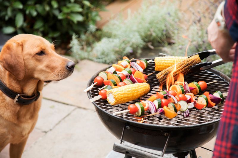 Barbecue Hazards