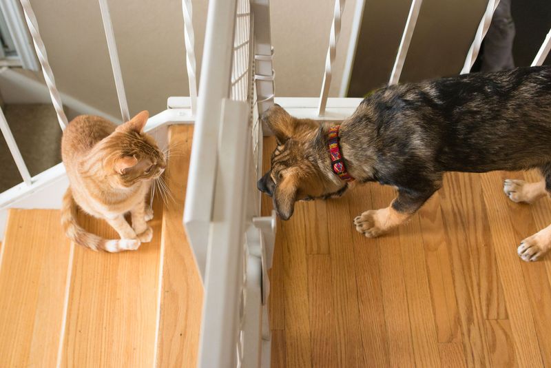 Supervised Meetings