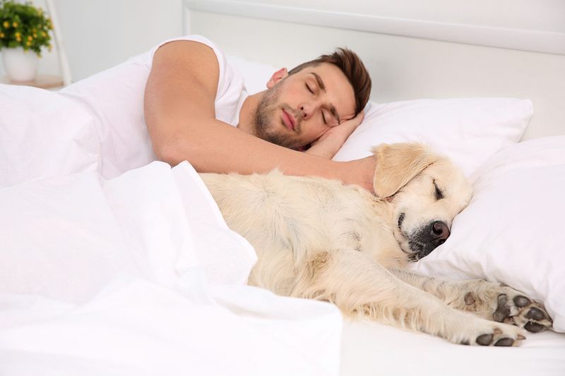 Warmth and Comfort
