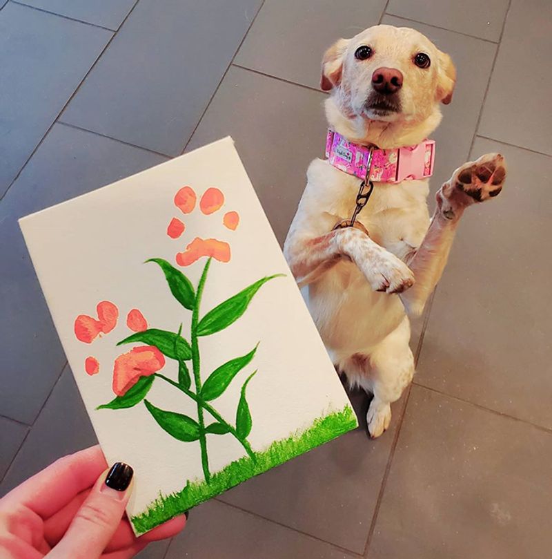 Paw Painting Party