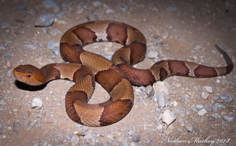 Oklahoma