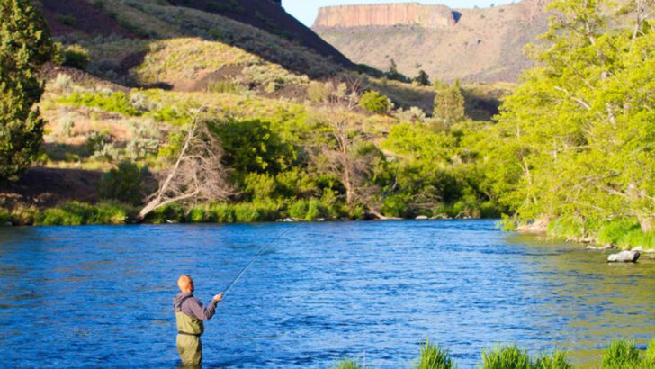 The Best 20 States for Fishing (Ranked by Locals and Pros)