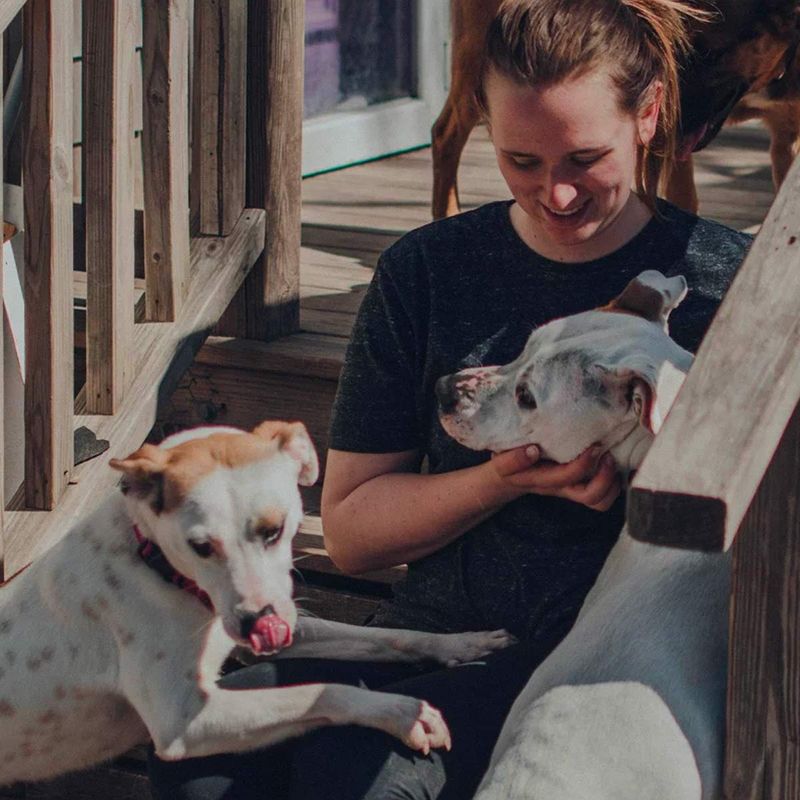 Cuddles with Canines