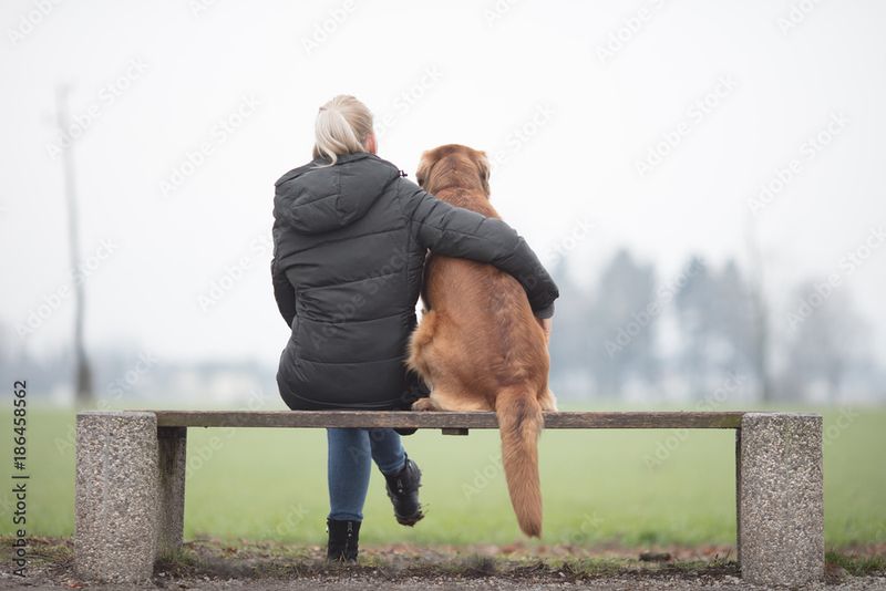 The Loyal Sit