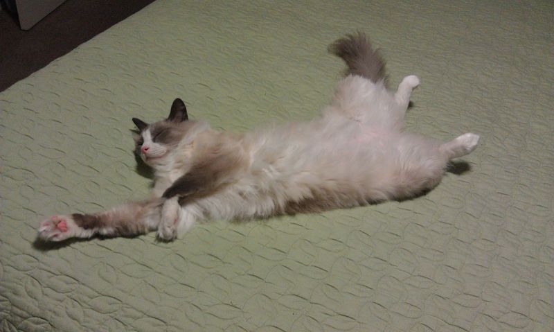 Sprawled Out