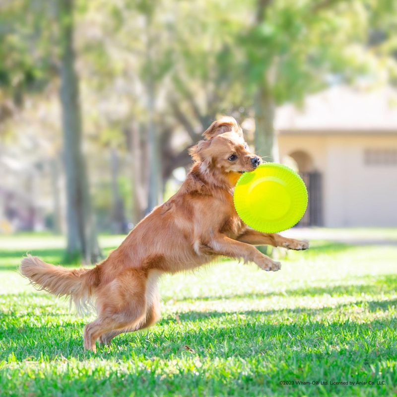 The Impressive Fetch