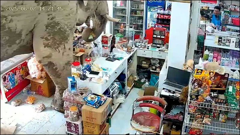 Snack Selection
