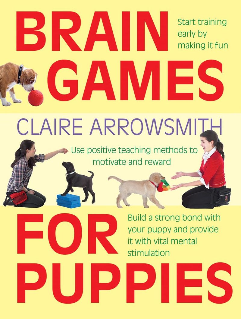 Brain Games for Dogs by Claire Arrowsmith