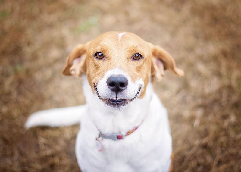 The Smiling Trick