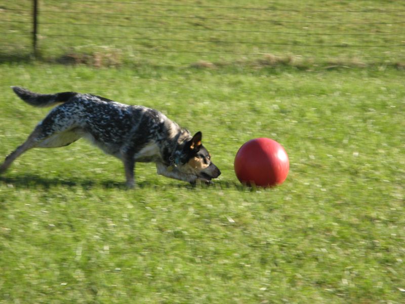 The Playful Nudge