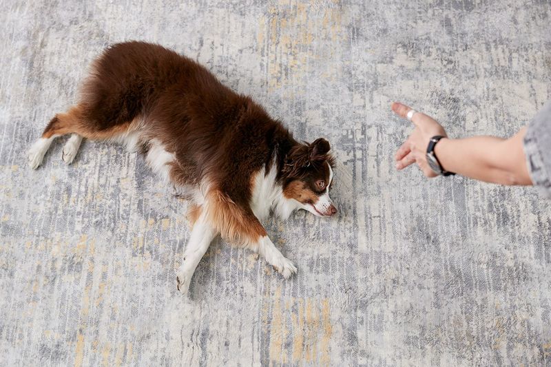 The Surprising Play Dead
