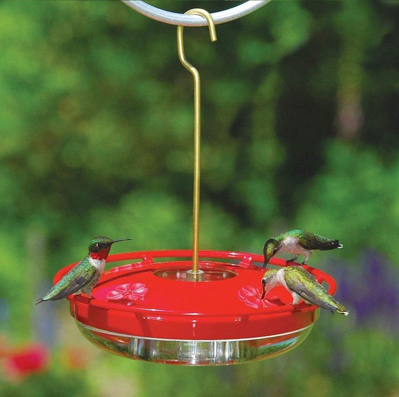 Feeder Variety