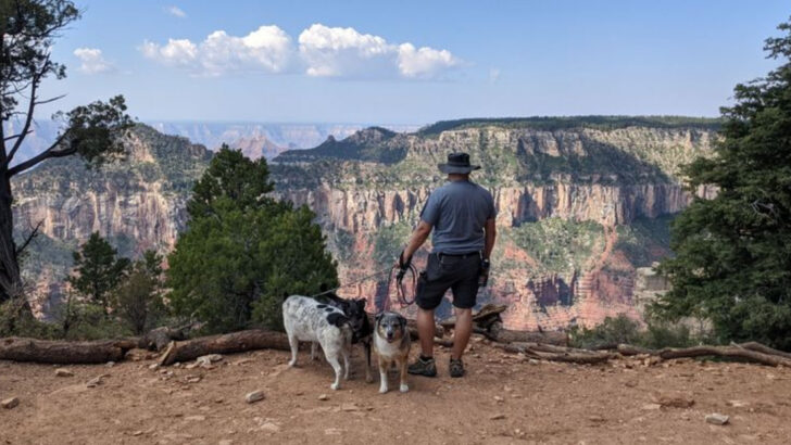 The Most Dangerous Hiking Trails for Dog Owners—You’ll Want to Rethink These Walks