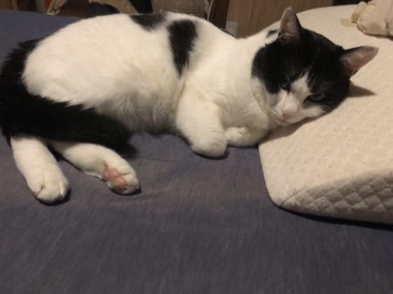 The Side Sleeper