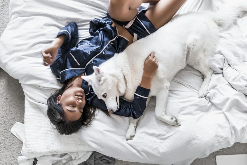 The Sleepy Cuddle