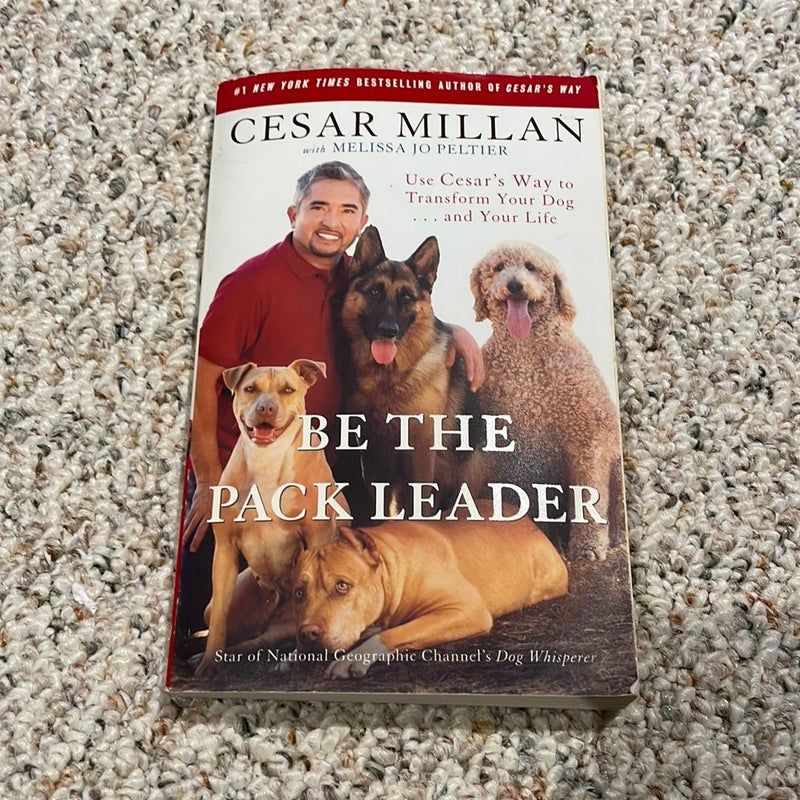 Be the Pack Leader by Cesar Millan