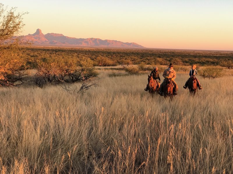 Rancho de la Osa, Arizona