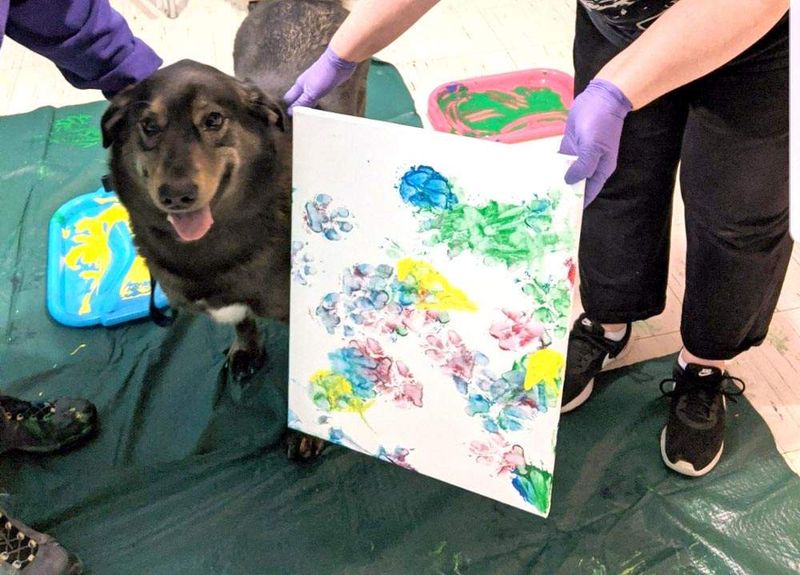 Artistic Activities for Expression