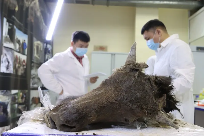 The Science of Preservation