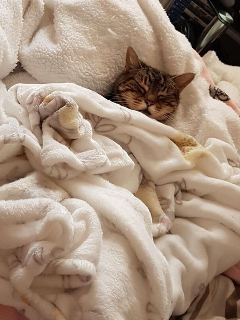 The Tucked In
