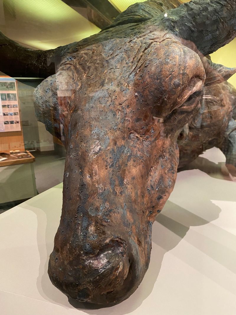 The Well-Preserved Specimen