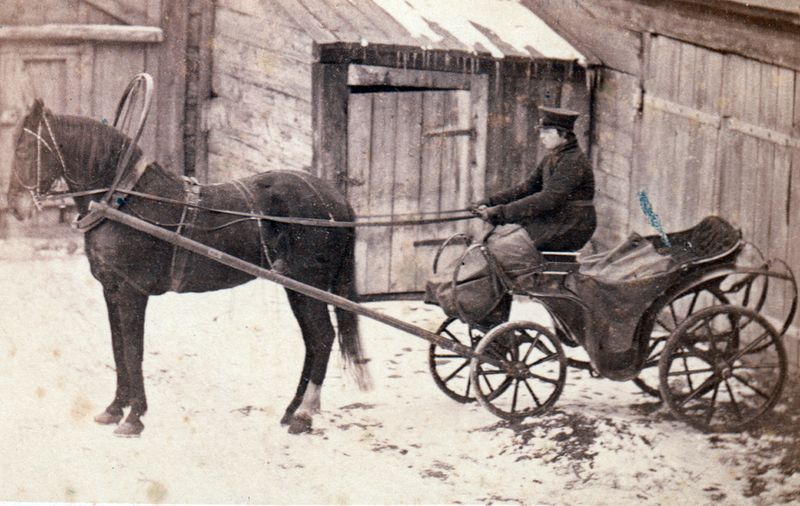 The Horse-Drawn Carriage: A Symbol of Elegance