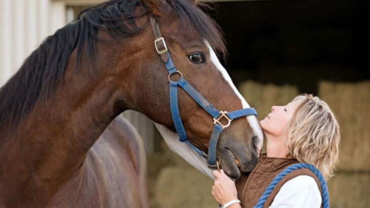 These 11 Animals Can Remember Faces for Years—And Some Hold Grudges Too