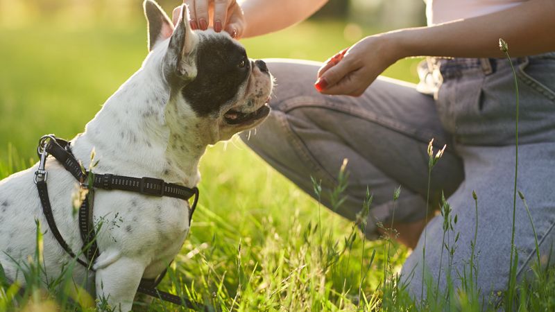 Tip 4: Practice Patience