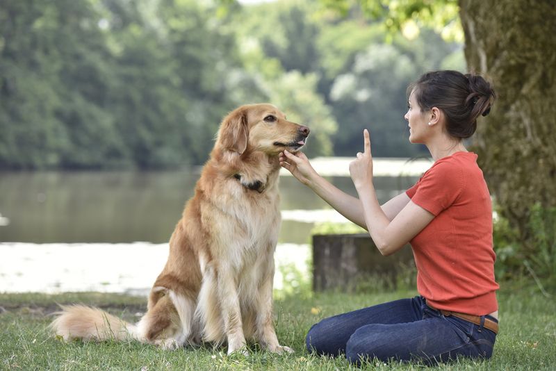 Tip 5: Be Consistent with Commands