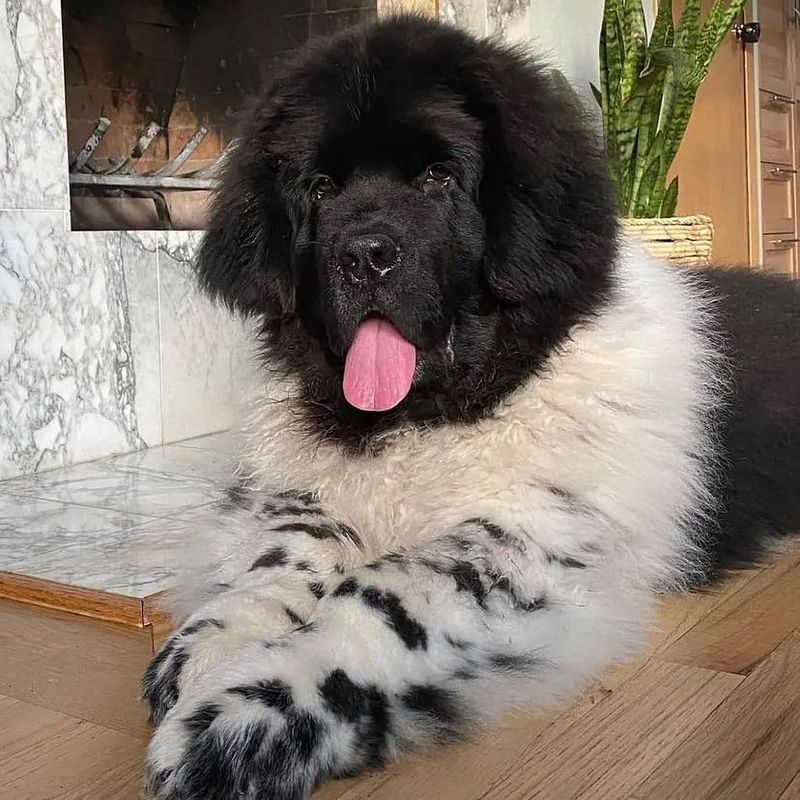 Odin
