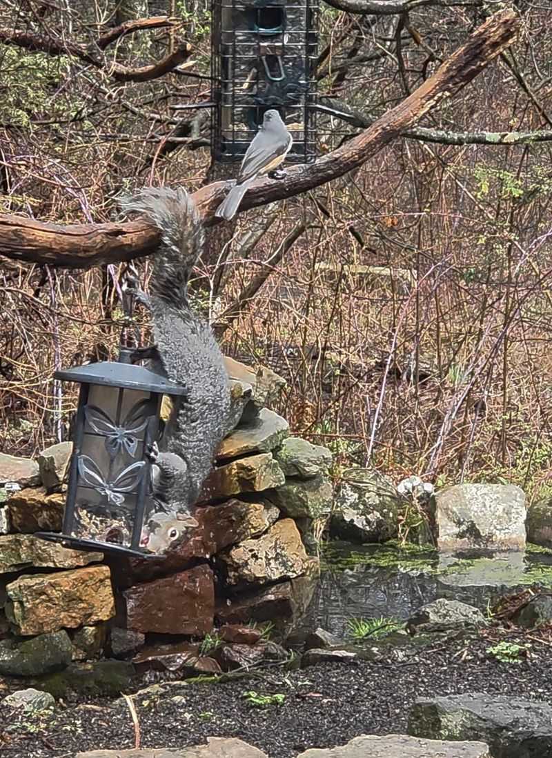 Hawk Mountain Sanctuary, Pennsylvania