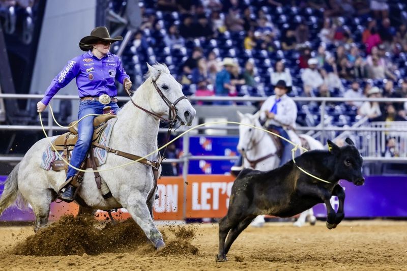 Houston Livestock Show and Rodeo