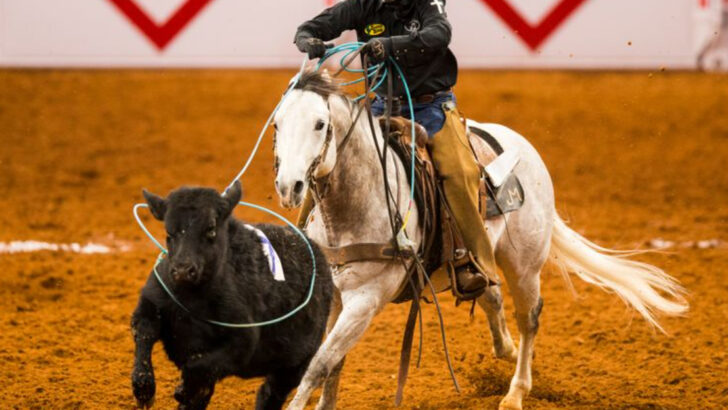 Top 15 All-American Rodeos That Capture the True Spirit of the West