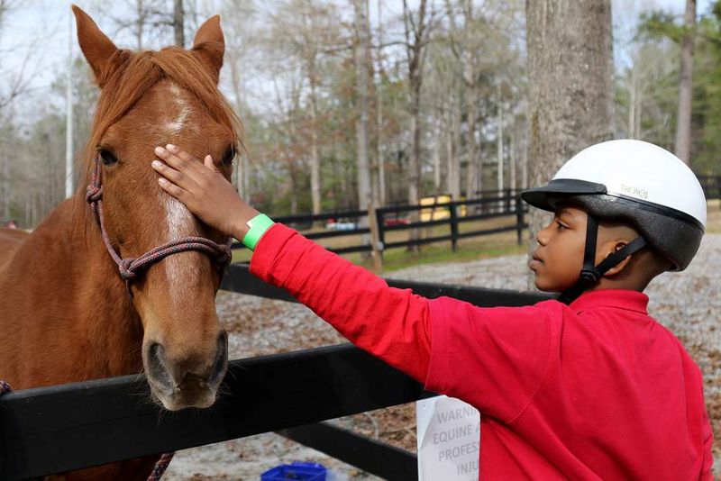 Therapeutic Riding Centers
