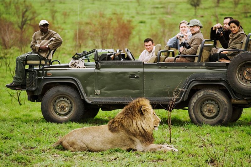 Tourists in Group Safety