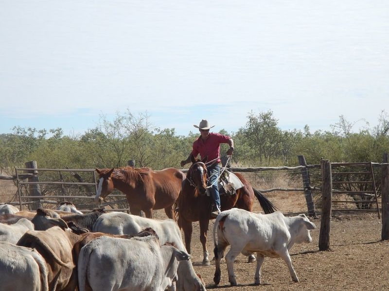 Ranching Education