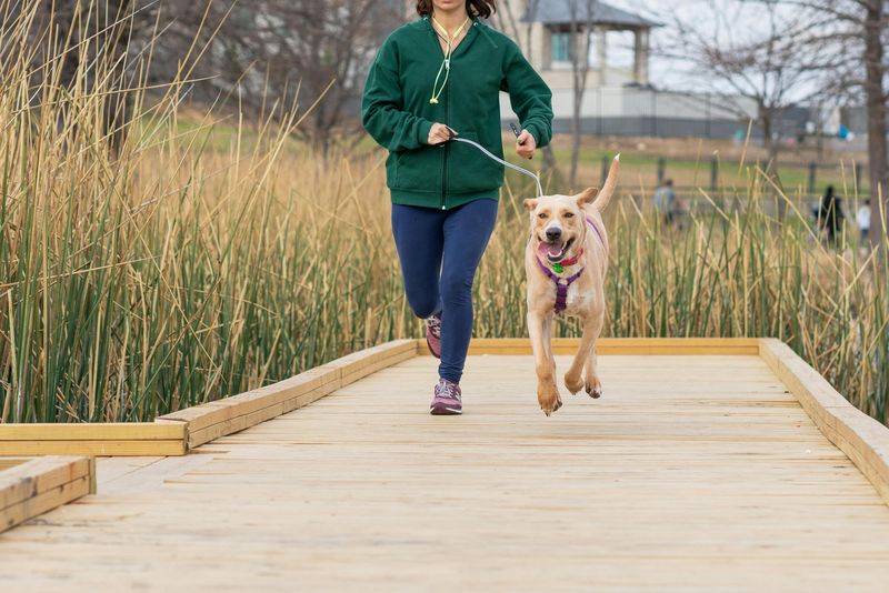 Exercise Needs