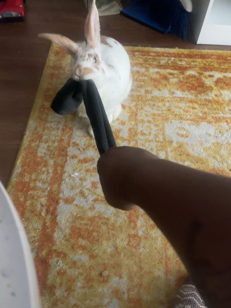 Tug of War