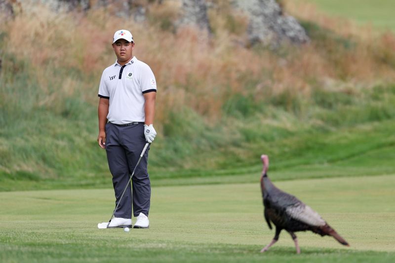 Turkeys' Gobble Parade