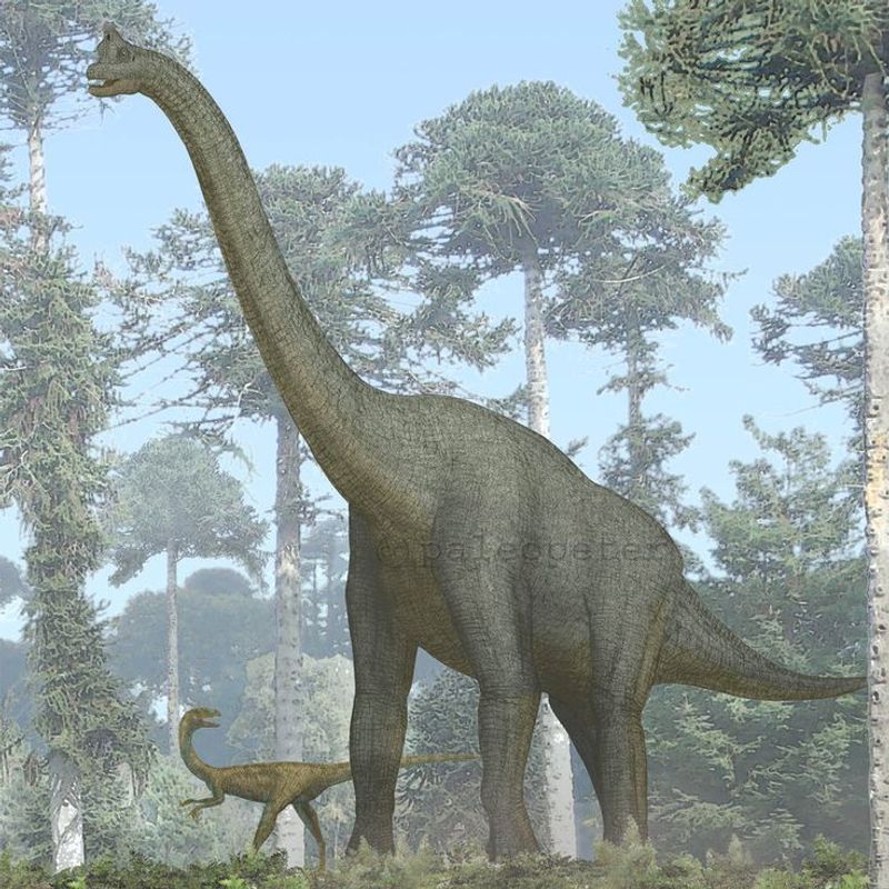 Giraffatitan