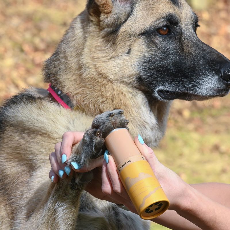 Dog Paw Protection Wax