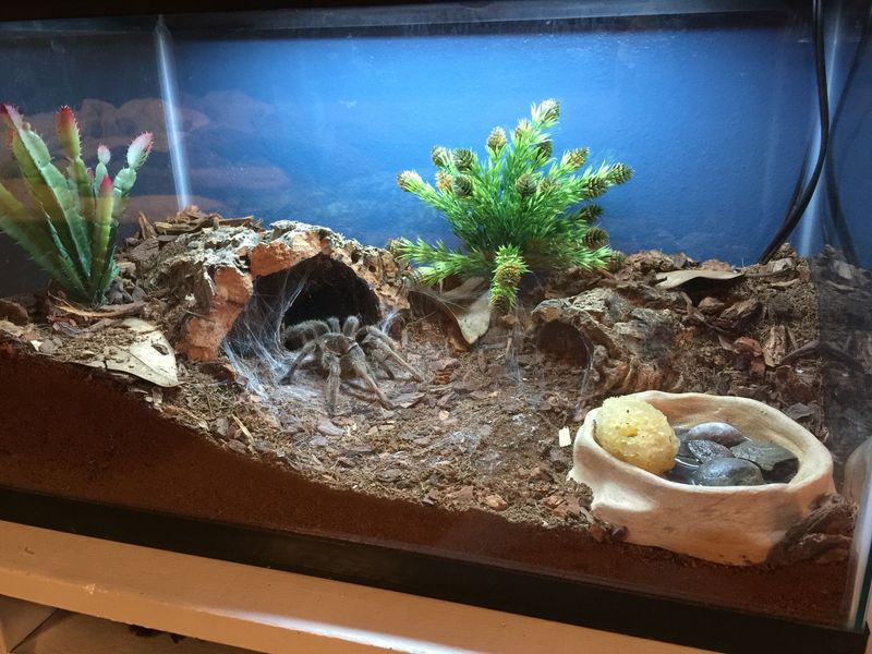 Choosing the Right Enclosure