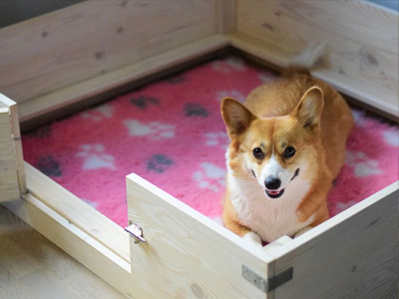 Preparing for Whelping Day