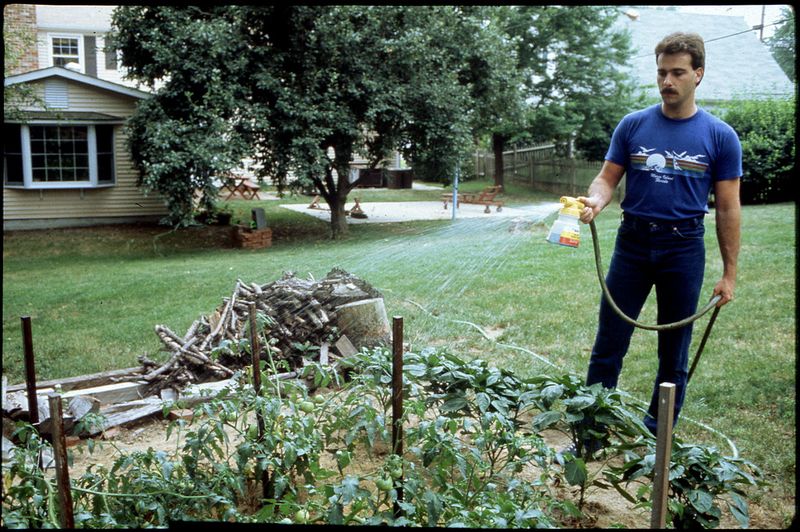 Chemical Pesticides