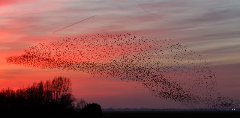 Flight Patterns
